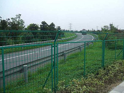 444.jpg